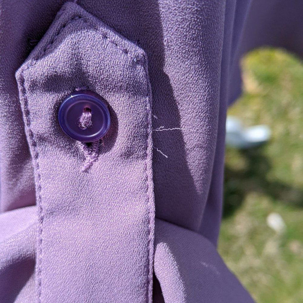 Sheer Button Up Blouse - Picture 3 of 3